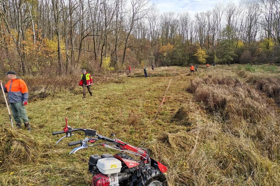 Blick auf die Binsenwiese während des Pfegeeinsatzes mit modernster Technik und Heurechen