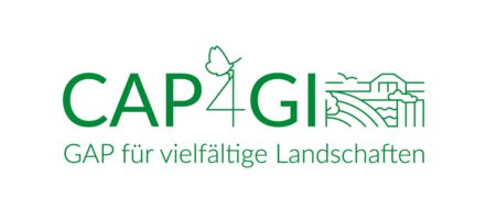 Logo CAP4GI