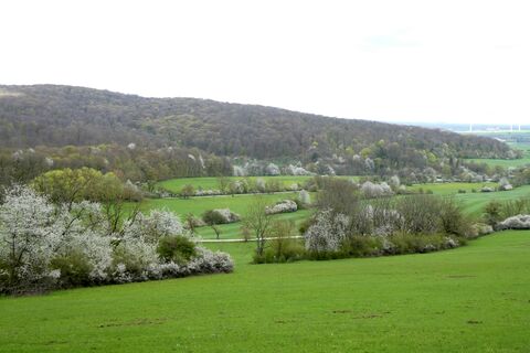 Blick auf Offenland am Rande des Nationalparks Hainich