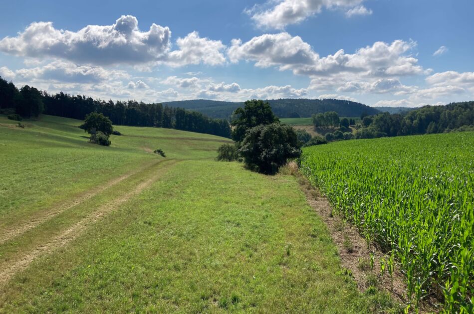 Blick auf eine vielfältig genutzte Agrarlandschaft