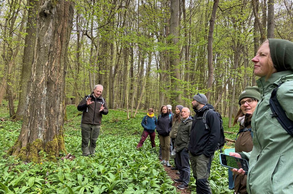 Team im Nationalpark Hainich inmitten von Bärlauch und Buchen mit Nationalparkleiter Rüdiger Biehl