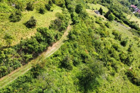 Blick auf eine (Halb-)Offenlandfläche