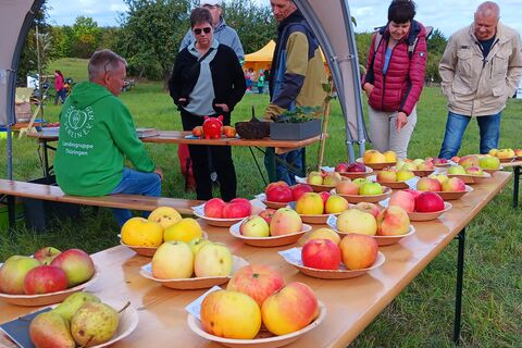 Obstfest 2025 mit Bestimmung von Apfelsorten