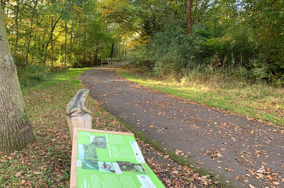 Blick auf einen Radweg mit Infotafel im Herbst