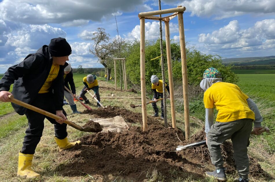 Fünf Grundschüler helfen beim Pflanzen von Bäumen an einem Feldrand