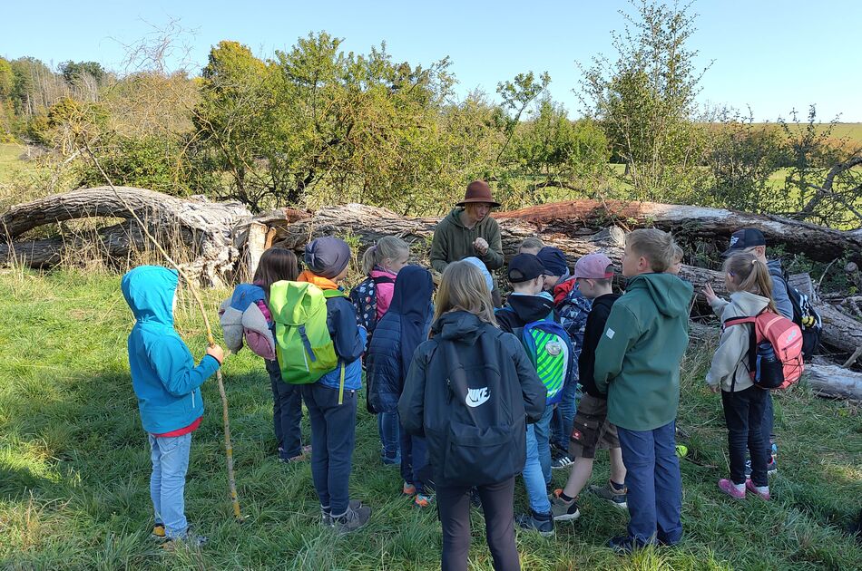 Erlebniswanderung von Grundschülern zum Lebensraum Offenland mit Umweltpädagogin Kerstin John