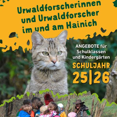 Titelseite Flyer Urwaldforscher SJ 25/26